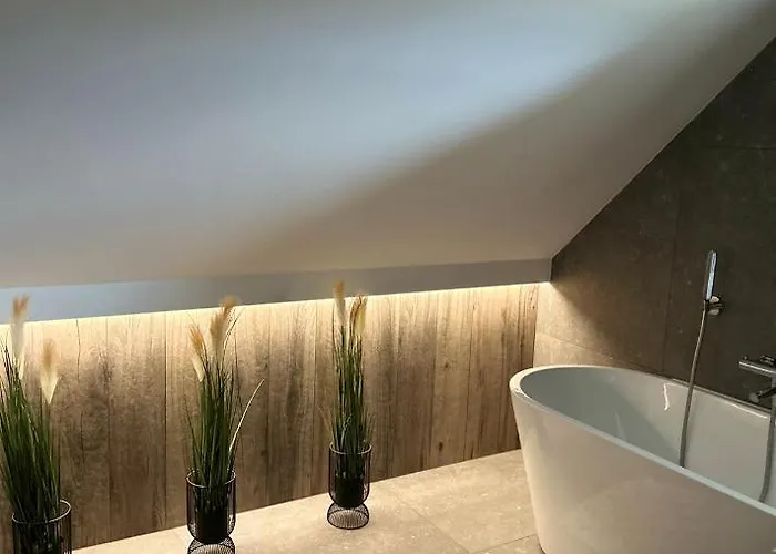 Penzion Lesne Wzgorze